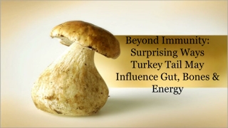 Beyond Immunity_ Surprising Ways Turkey Tail May Influence Gut, Bones & Energy