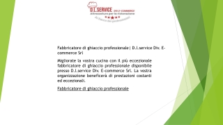 Fabbricatore di ghiaccio professionale D.l.service Div. E-commerce Srl