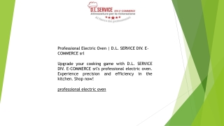 Professional Electric Oven  D.L. SERVICE DIV. E-COMMERCE srl