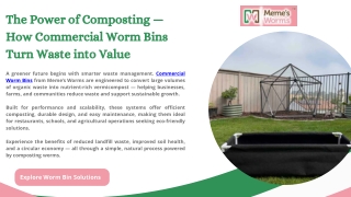 The Power of Composting — How Commercial Worm Bins Turn Waste into Value