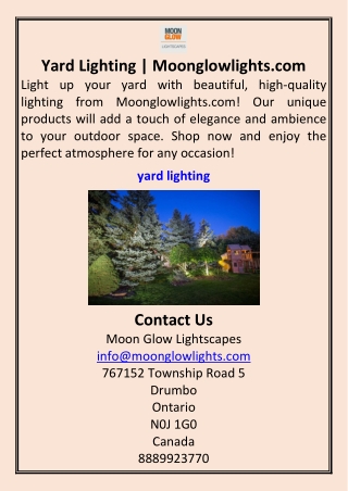Yard Lighting Moonglowlights.com