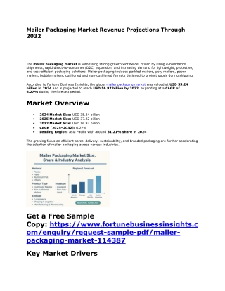 Global Mailer Packaging Market Insights: Opportunities & Challenges