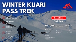 Kuari Pass Trek: Best winter trek in India