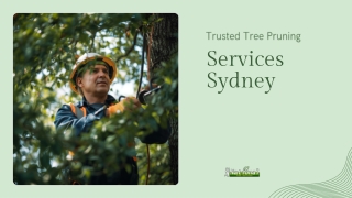 Trusted Tree Pruning Services Sydney for Long Lasting Tree Health