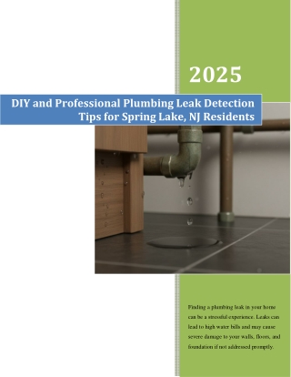 DIY and Professional Plumbing Leak Detection Tips for Spring Lake