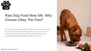Best Raw Dog Food Near Me | Natural Canine Nutrition