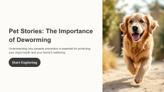 Pet Stories: The Importance of Deworming | Best Dog Dewormers & Pet Care Tips