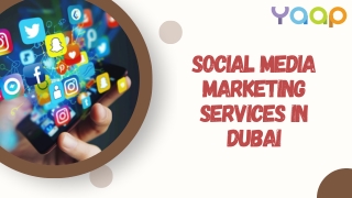 Social Media Marketing Services in Dubai for Business Growth
