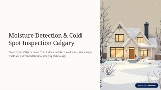Moisture Detection & Cold Spot Inspection Calgary