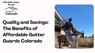 Quality and Savings The Benefits of Affordable Gutter Guards Colorado