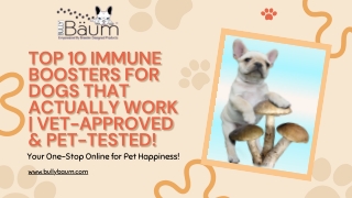 Top 10 Immune Boosters for Dogs That Actually Work  Vet-Approved & Pet-Tested!