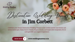 Destination Wedding Venues in Jim Corbett – Celebrate in Scenic Luxury