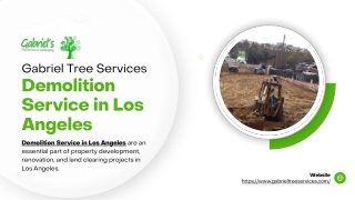 Affordable Demolition Service in Los Angeles - Gabrieltreeservices.com