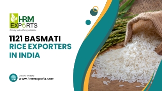 Best 1121 Basmati Rice Exporters in India
