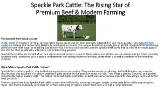 Speckle Park Cattle he Rising Star of Premium Beef & Modern Farming (1)
