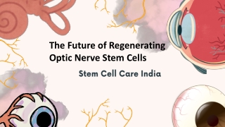 The Future of Regenerating Optic Nerve Stem Cells