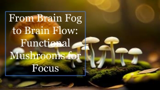 From Brain Fog to Brain Flow_ Functional Mushrooms for Focus