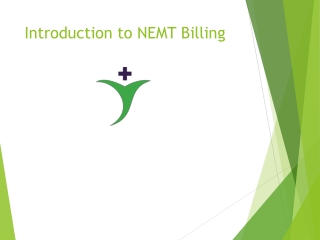 Medicaid vs Private Payers in NEMT Billing: Key Differences Explained