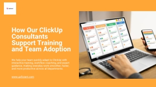 How Our ClickUp Consultants Support Training and Team Adoption