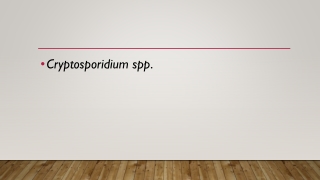 Cryptosporidium[1]