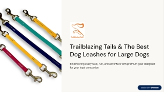 Best Dog Leashes for Large Dogs