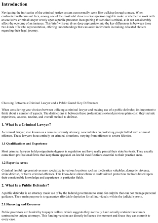 Choosing Between a Criminal Lawyer and a Public Defender: Key Differences