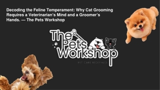 Decoding the Feline Temperament Why Cat Grooming Requires a Veterinarian’s Mind and a Groomer’s Hands. — The Pets Worksh