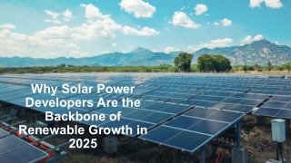 Why Solar Power Developers Are the Backbone of Renewable Growth in 2025