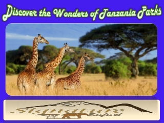 Discover the Wonders of Tanzania Parks