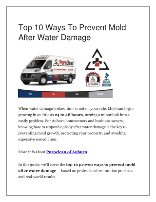 Top 10 Ways To Prevent Mold After Water Damage