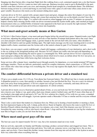 Private Driver Tel Aviv: Airport Meet-and-Greet Benefits