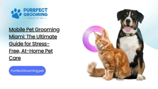 Mobile Pet Grooming Miami: The Ultimate Guide for Stress-Free, At-Home Pet Care