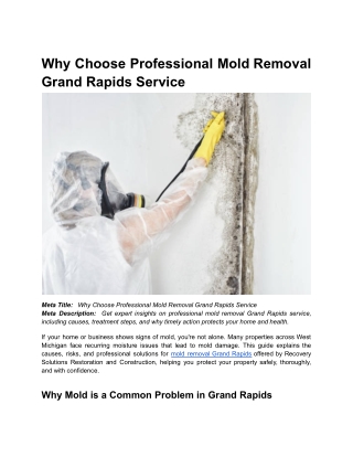 Why Choose Professional Mold Removal Grand Rapids Service