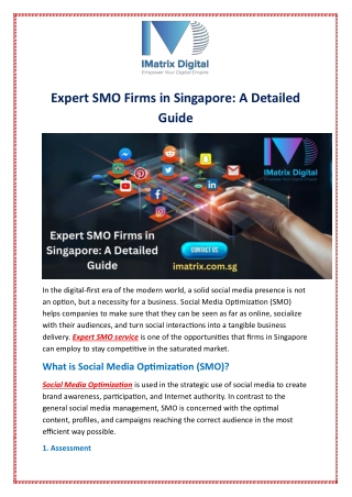 Expert SMO Firms in Singapore: A Detailed Guide