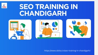 SEO Training in Chandigarh for Skill-Based Digital Growth
