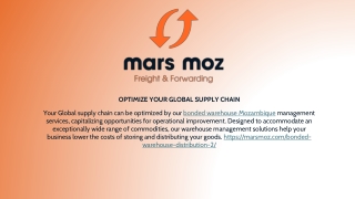 Top Bonded Warehouse Mozambique