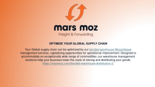 Top Bonded Warehouse Mozambique