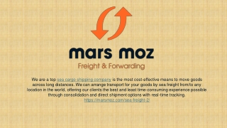 Best Sea Freight Shipping Companies
