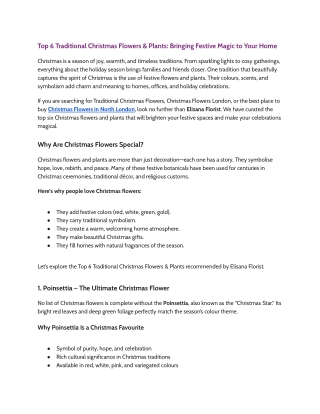 Top 6 Traditional Christmas Flowers & Plants Bringing Festive Magic to Your Home