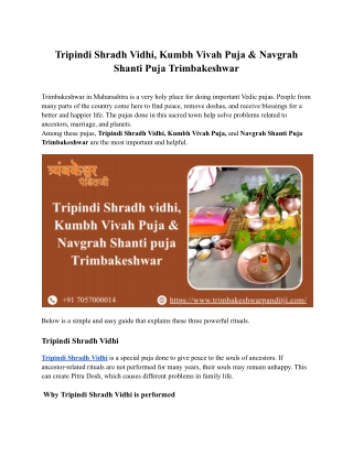 Tripindi Shradh Vidhi, Kumbh Vivah Puja & Navgrah Shanti Puja Trimbakeshwar