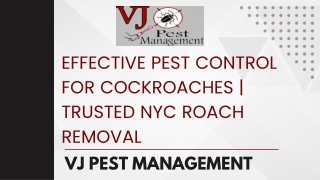 Effective Pest Control for Cockroaches  Trusted NYC Roach Removal