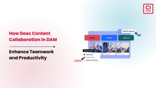 Content Collaboration in DAM  Enhance Teamwork and Productivity