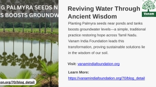 Why Planting Palmyra Seeds Near Ponds and Tanks Boosts Groundwater Levels – Insights from Vanam India Foundation’s Proje