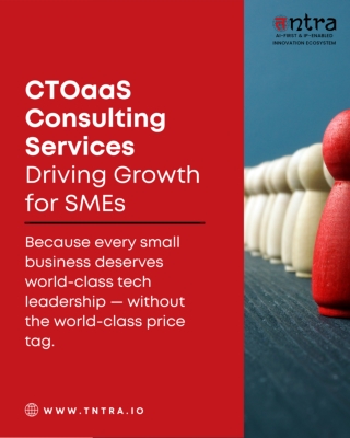 CTO-as-a-Service: On-Demand Strategic Technology Leadership