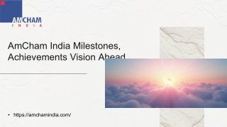 AmCham India Milestones Achievements Vision Ahead