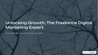 Unlocking Growth: The-Freelance Digital Marketing Expert