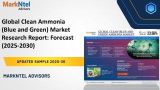Global Clean Ammonia (Blue and Green) Market
