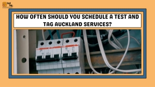 How Often Should You Schedule A Test and Tag Auckland Services