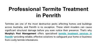 Professional Termite Treatment in Penrith
