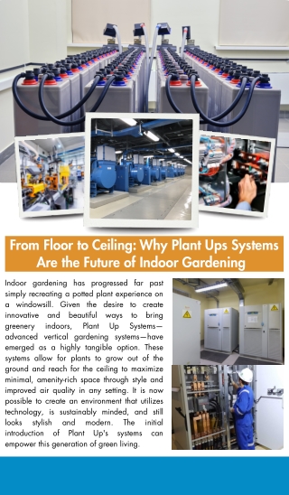 From Floor to Ceiling: Why Plant Ups Systems Are the Future of Indoor Gardening